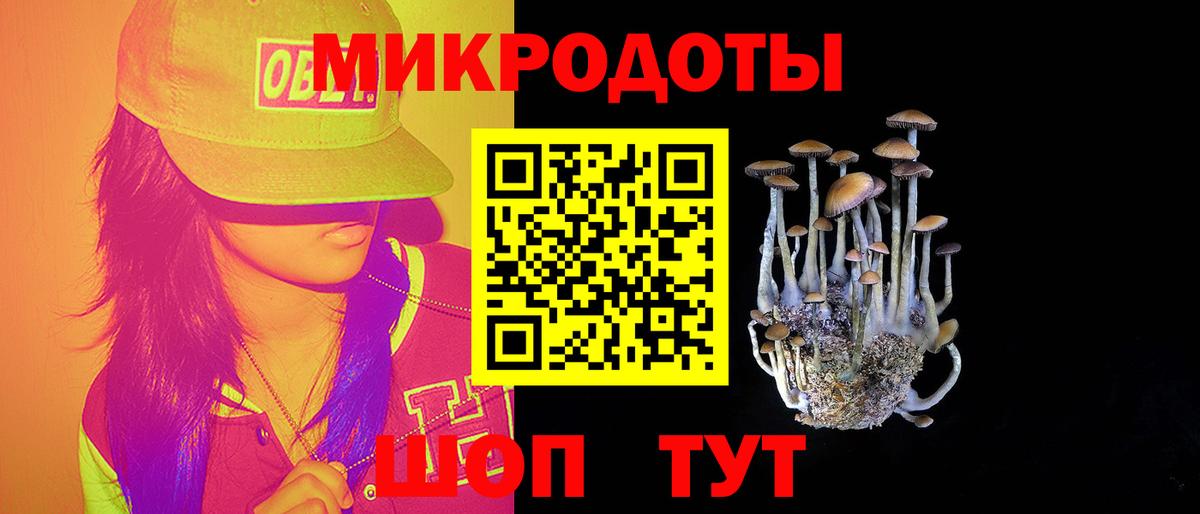 дарнет шоп  Вход с VPN  Черногорск  Псилоцибиновые грибы ЛСД 